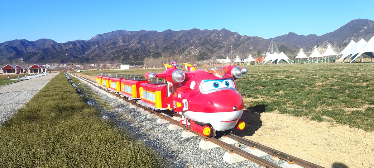 17-Seats Mini Rail Train 2