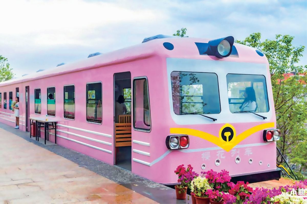 Sakura Sightseeing Train 2