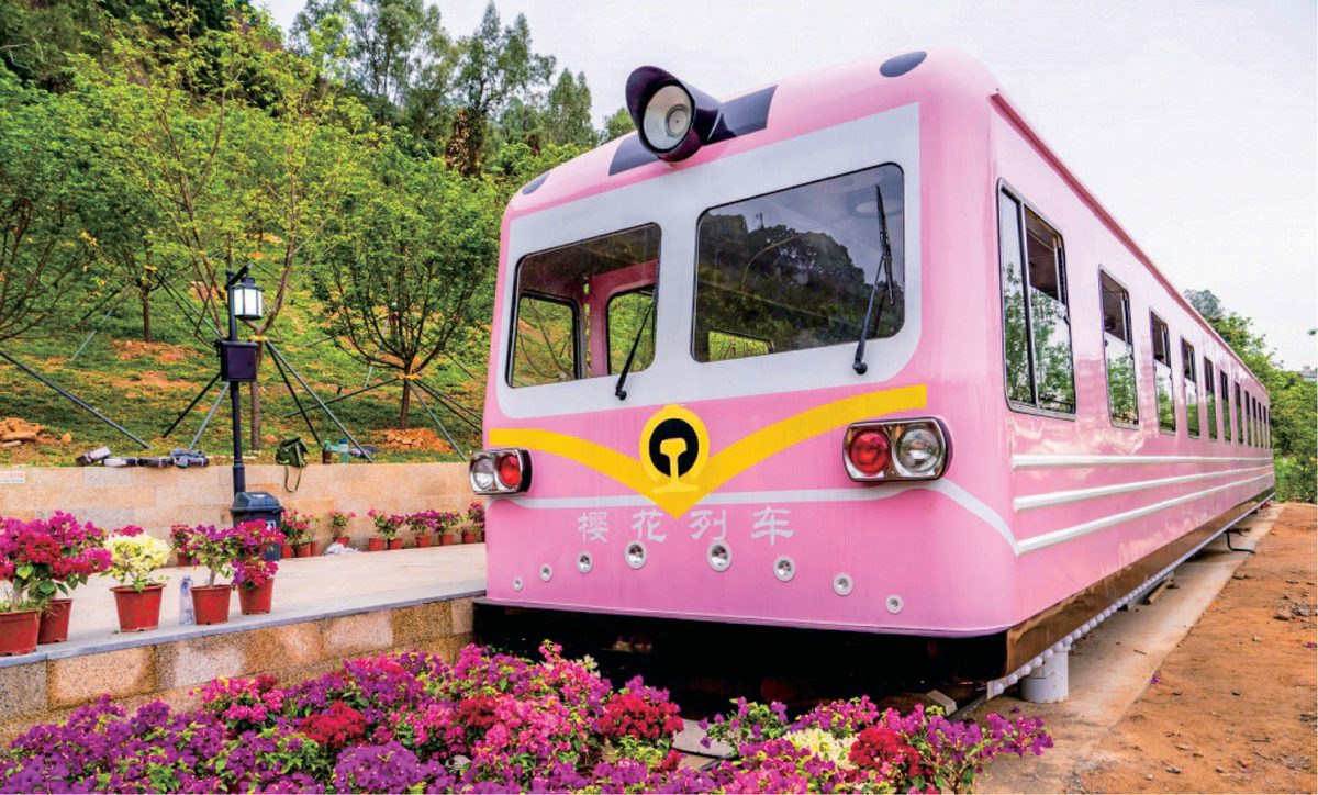 Sakura Sightseeing Train
